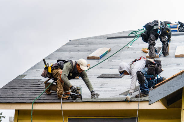 Professional Roofing technician working in May, ID