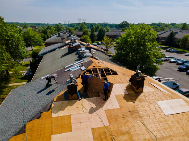 Trusted Flat Roof Repair service in May, ID - Brentwood Metal Roofing